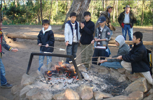 Du học hè: Chơi là chính