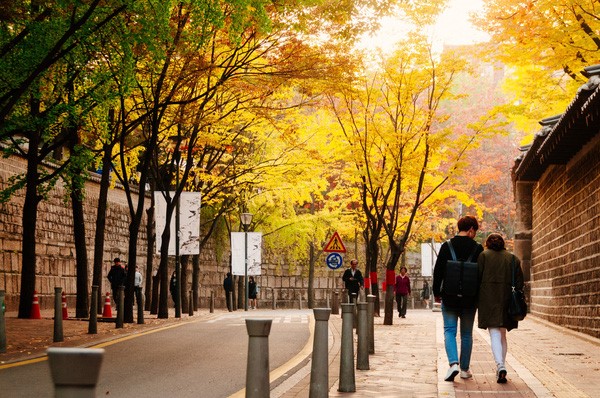 Top 25 trường đại học ở Seoul Hàn Quốc